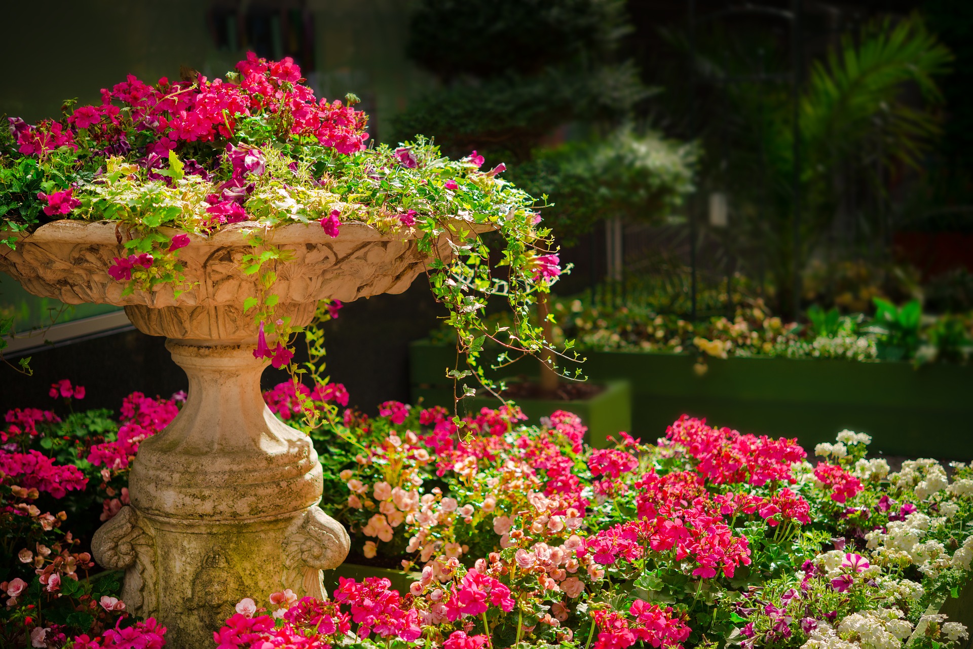 Fiori di Sanremo